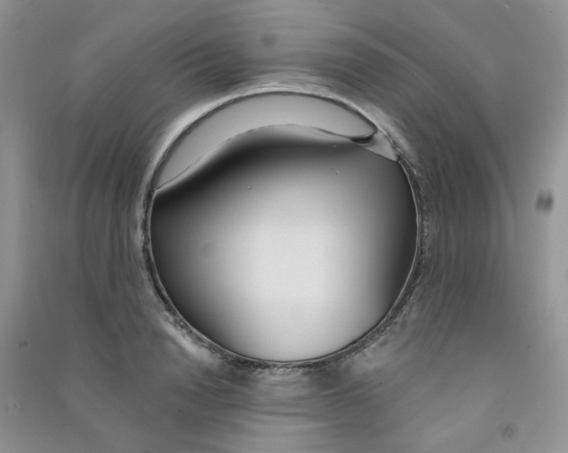 X0000090710846200708171905