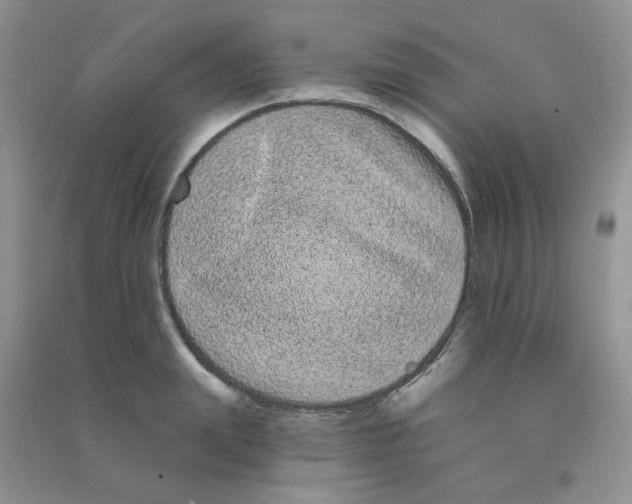 X0000090710847200708171905