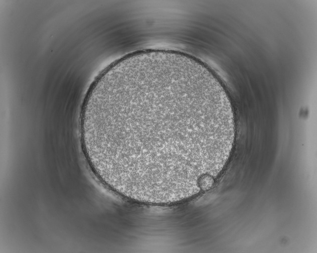 X0000090710848200708171905