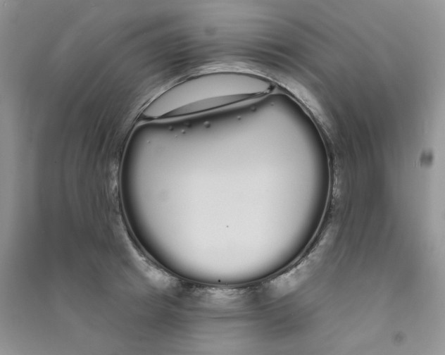 X0000090710849200708171905