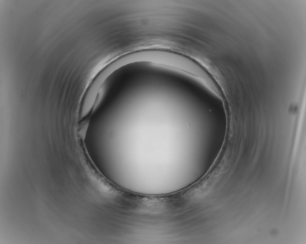 X0000090710850200708171905