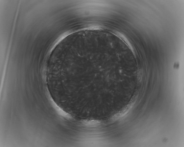 X0000090710851200708171905