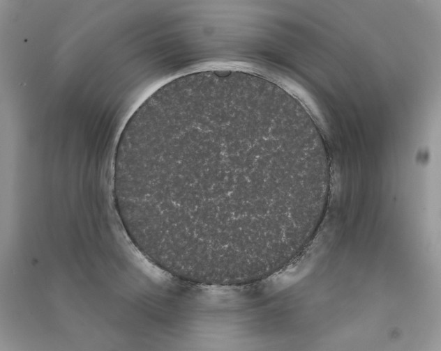 X0000090710852200708171905