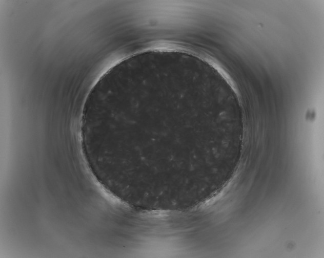 X0000090710853200708171905