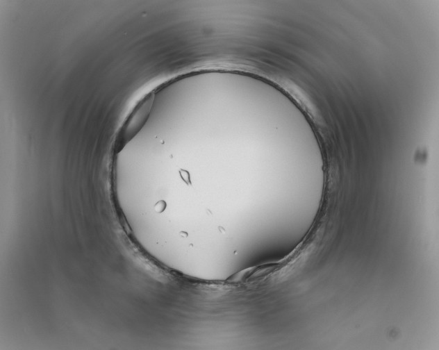 X0000090710854200708171905