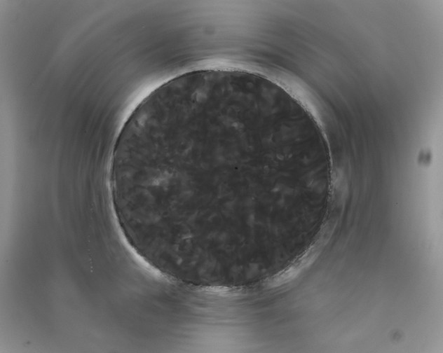 X0000090710855200708171905