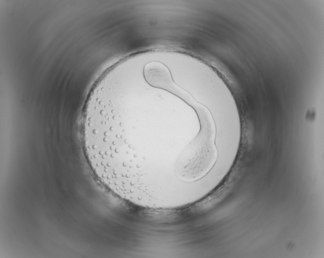 X0000090710856200708171905