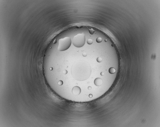 X0000090710857200708171905