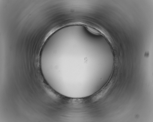 X0000090710858200708171905