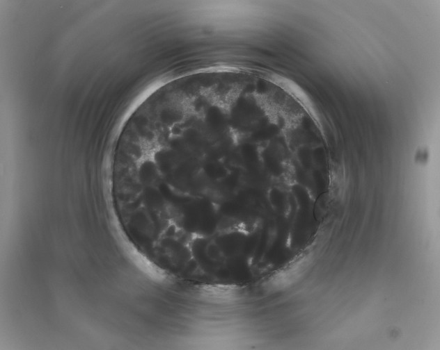 X0000090710859200708171905