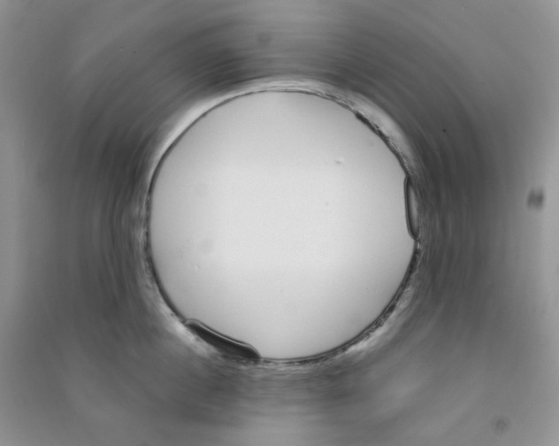 X0000090710860200708171905