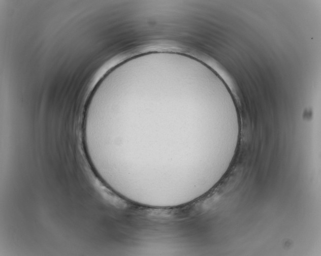 X0000090710861200708171905