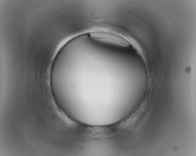 X0000090710862200708171905