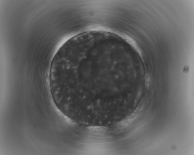 X0000090710863200708171905