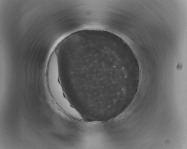 X0000090710864200708171905