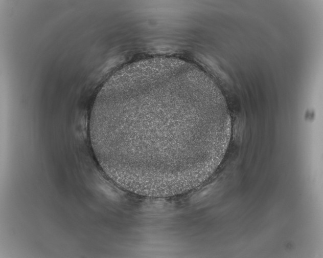 X0000090710866200708171904