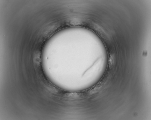 X0000090710867200708171904