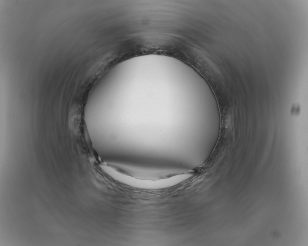 X0000090710868200708171904