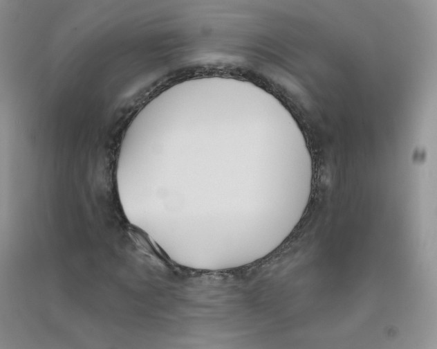 X0000090710869200708171904