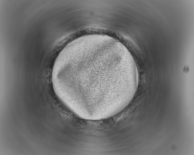 X0000090710870200708171904