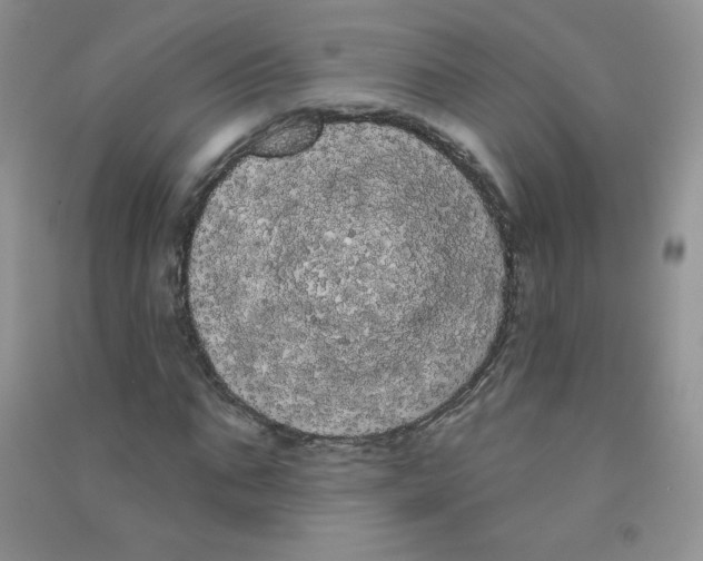 X0000090710871200708171904