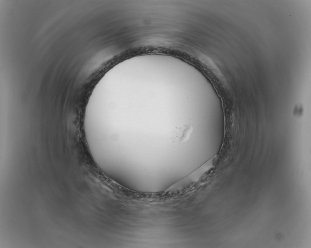 X0000090710872200708171904