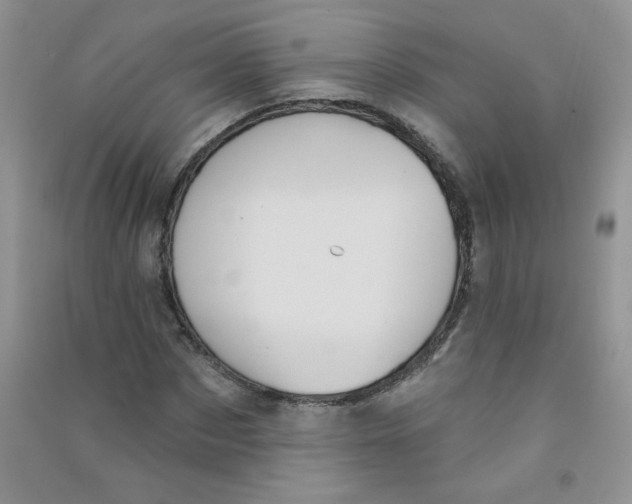 X0000090710873200708171904