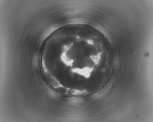 X0000090710874200708171904