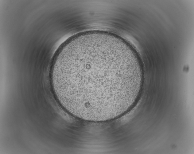 X0000090710875200708171904