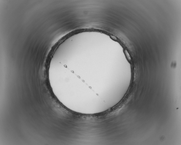 X0000090710876200708171904