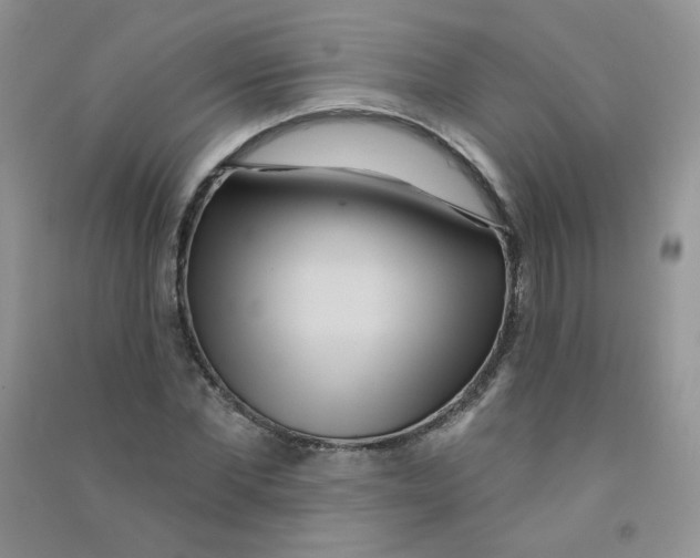 X0000090710877200708171904