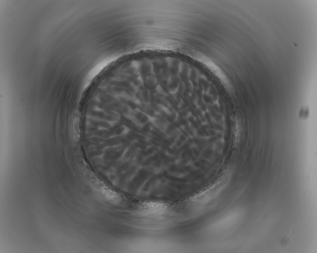 X0000090710878200708171904