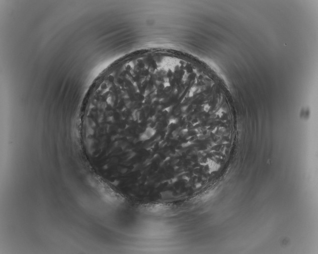 X0000090710879200708171904