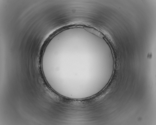 X0000090710880200708171904