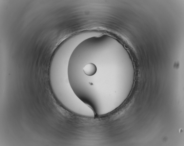 X0000090710881200708171904