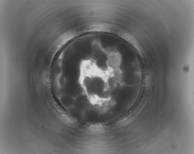 X0000090710882200708171904