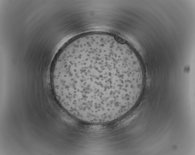 X0000090710883200708171904