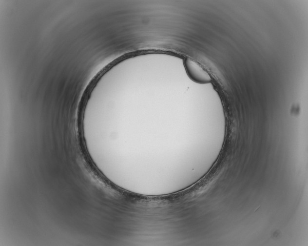 X0000090710884200708171904