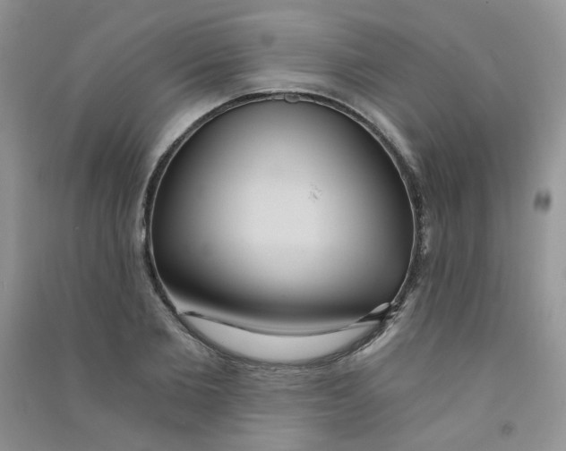 X0000090710885200708171904