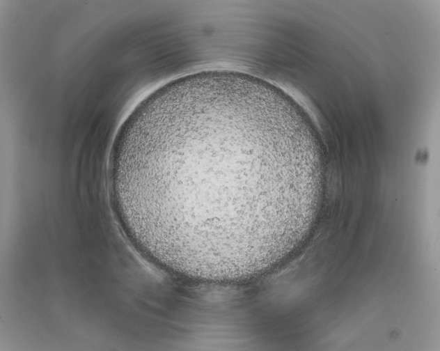 X0000090710886200708171904