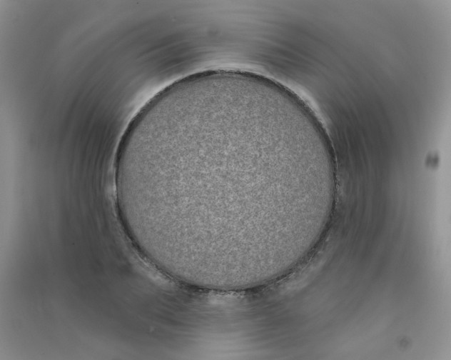 X0000090710887200708171904