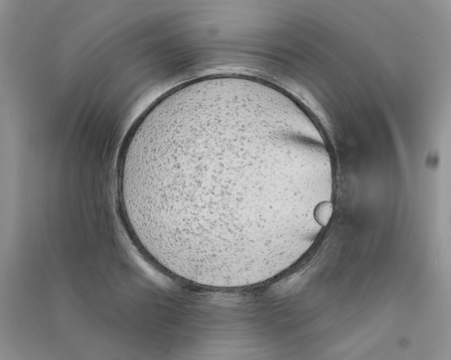 X0000090710890200708171904