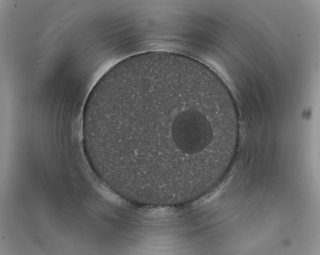 X0000090710891200708171904