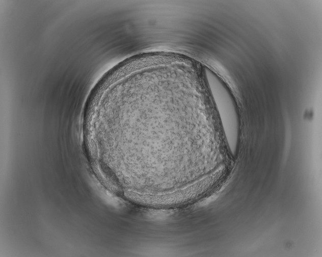 X0000090710892200708171904