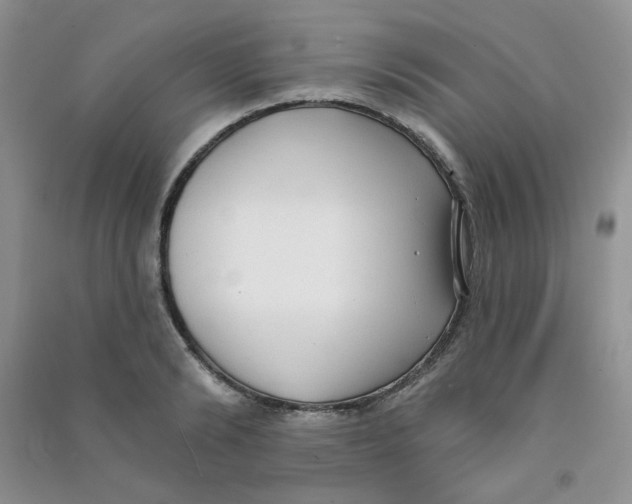 X0000090710894200708171904