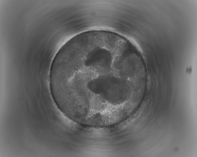 X0000090710895200708171904