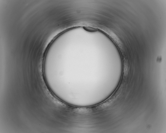 X0000090710896200708171904