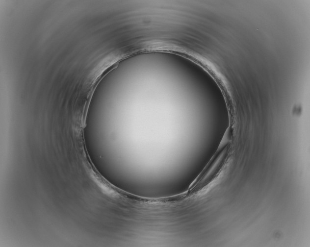 X0000090710897200708171904