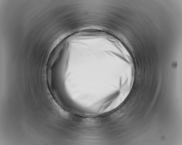 X0000090710898200708171904