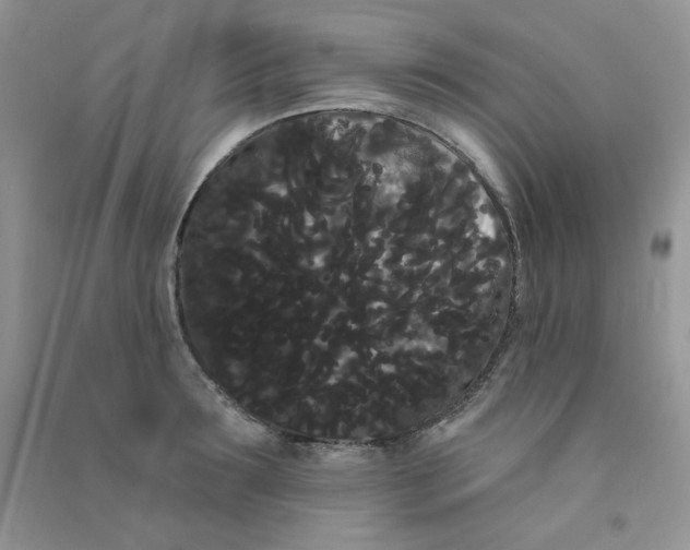 X0000090710899200708171904